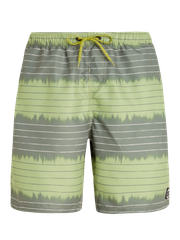 PRTAUCKLEY Striped swim shorts