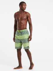 PRTAUCKLEY Striped swim shorts
