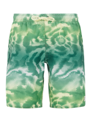 PRTDANIEL JR Long swim shorts