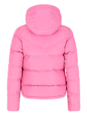 PRTLUCID 
