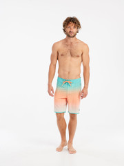 PRTChad Board shorts