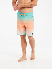 PRTChad Board shorts