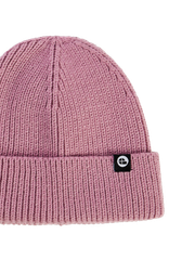 PRTChapters TD Beanie