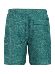 PRTAcorn Swim shorts