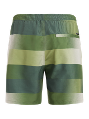 PRTLomond Striped swim shorts