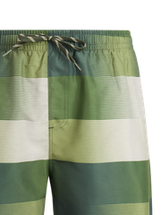 PRTLomond Striped swim shorts