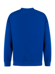 PRTTwinkle Outdoor oversized sweatshirt